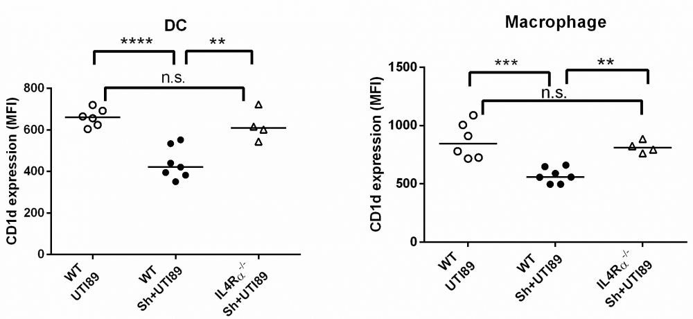 cd1d-fig-6