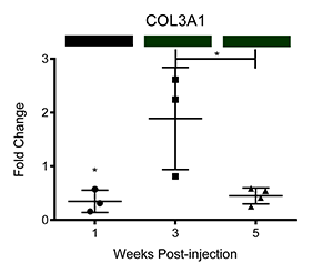 COL3A1 Chart