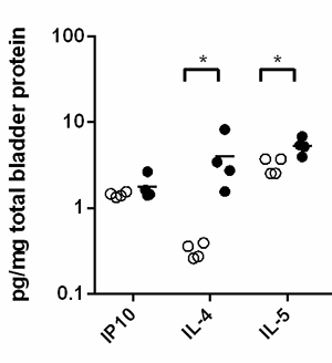 il-4fig4_300