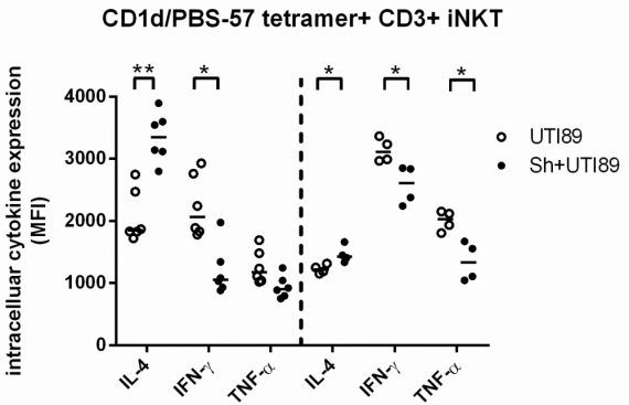 intracellular-nkt