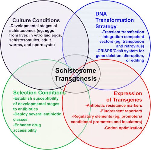 j-infect-dis-venn