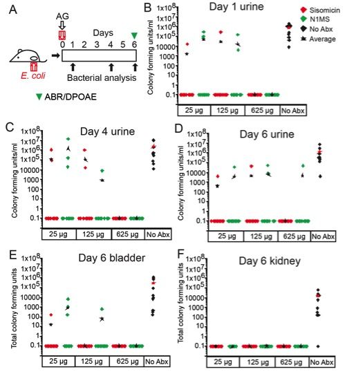 jci-uti-data