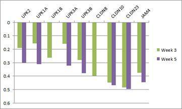 uroplakin microarray graph